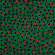 Tableau « Żółwiowy » (2022) | Anna Kordowicz-Markuszewska – huile sur toile, abstraction expressive Tableau « Żółwiowy » (2022) | Anna Kordowicz-Markuszewska – huile sur toile, abstraction expressive