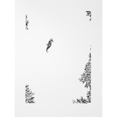 Print “Seahorse” (2021) | Karolina Sosnowska – screen print, 42×59 cm, ed. 2