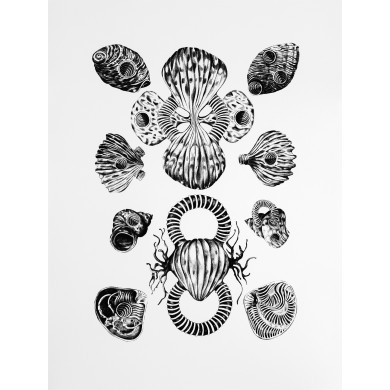 Print “Shells” (2021) | Karolina Sosnowska – screen print, 42×59 cm, ed. 2