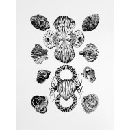 Print “Shells” (2021) | Karolina Sosnowska – screen print, 42×59 cm, ed. 2 Print “Shells” (2021) | Karolina Sosnowska – screen print, 42×59 cm, ed. 2