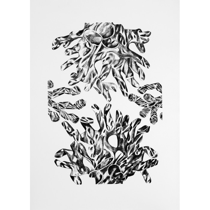 Grafik „Seeanemone“ (2021) | Karolina Sosnowska – Siebdruck, 42×59 cm, Auflage 2 Grafik „Seeanemone“ (2021) | Karolina Sosnowska – Siebdruck, 42×59 cm, Auflage 2