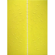 Obraz „Lux 0171” (2017) | Rafał Wieczorek – akryl na płótnie, 54×73 cm