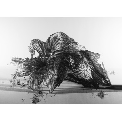 Obraz „Taurus” (2022) | Aneta & Filip Gębscy – MIRAGES, fotografia i rysunek Obraz „Taurus” (2022) | Aneta & Filip Gębscy – MIRAGES, fotografia i rysunek