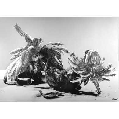Gemälde „Gallus” (2022) | Aneta & Filip Gębski – MIRAGES, Fotografie und Zeichnung Gemälde „Gallus” (2022) | Aneta & Filip Gębski – MIRAGES, Fotografie und Zeichnung