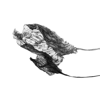 Obraz „Pisces” (2022) | Aneta & Filip Gębscy – MIRAGES, fotografia i rysunek Obraz „Pisces” (2022) | Aneta & Filip Gębscy – MIRAGES, fotografia i rysunek
