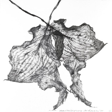 Tableau « Deux poules qui s’embrassent » (2022) | Aneta & Filip Gębski – MIRAGES, photographie et dessin Tableau « Deux poules qui s’embrassent » (2022) | Aneta & Filip Gębski – MIRAGES, photographie et dessin