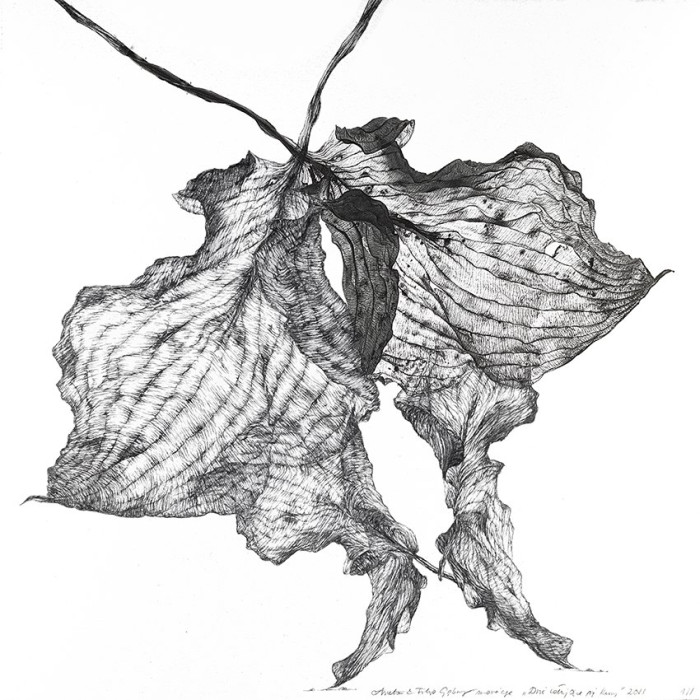 Tableau « Deux poules qui s’embrassent » (2022) | Aneta & Filip Gębski – MIRAGES, photographie et dessin Tableau « Deux poules qui s’embrassent » (2022) | Aneta & Filip Gębski – MIRAGES, photographie et dessin