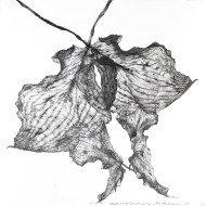 Tableau « Deux poules qui s’embrassent » (2022) | Aneta & Filip Gębski – MIRAGES, photographie et dessin Tableau « Deux poules qui s’embrassent » (2022) | Aneta & Filip Gębski – MIRAGES, photographie et dessin
