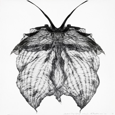 Obraz „Le Papillon Noir” (2022) | Aneta & Filip Gębscy – MIRAGES, fotografia i rysunek Obraz „Le Papillon Noir” (2022) | Aneta & Filip Gębscy – MIRAGES, fotografia i rysunek