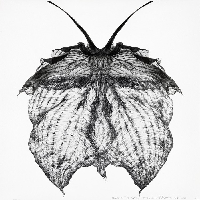 Obraz „Le Papillon Noir” (2022) | Aneta & Filip Gębscy – MIRAGES, fotografia i rysunek Obraz „Le Papillon Noir” (2022) | Aneta & Filip Gębscy – MIRAGES, fotografia i rysunek