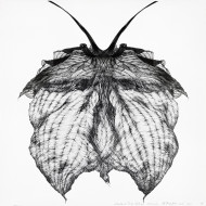 Obraz „Le Papillon Noir” (2022) | Aneta & Filip Gębscy – MIRAGES, fotografia i rysunek Obraz „Le Papillon Noir” (2022) | Aneta & Filip Gębscy – MIRAGES, fotografia i rysunek