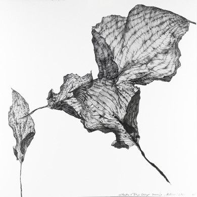 Tableau « Koliber » (2023) | Aneta & Filip Gębski – MIRAGES, photographie et dessin Tableau « Koliber » (2023) | Aneta & Filip Gębski – MIRAGES, photographie et dessin
