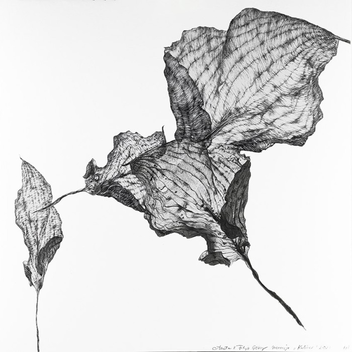 Tableau « Koliber » (2023) | Aneta & Filip Gębski – MIRAGES, photographie et dessin Tableau « Koliber » (2023) | Aneta & Filip Gębski – MIRAGES, photographie et dessin