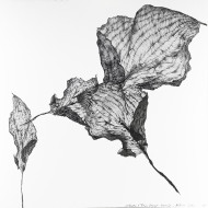 Painting “Koliber” (2023) | Aneta & Filip Gębski – MIRAGES, photography & drawing Painting “Koliber” (2023) | Aneta & Filip Gębski – MIRAGES, photography & drawing