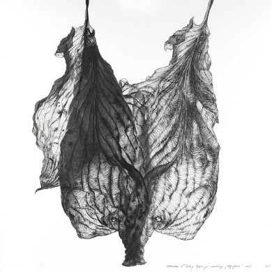 Gemälde „Netoperek” (2022) | Aneta & Filip Gębski – MIRAGES, Fotografie und Zeichnung Gemälde „Netoperek” (2022) | Aneta & Filip Gębski – MIRAGES, Fotografie und Zeichnung