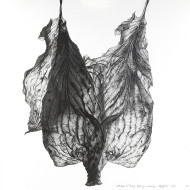 Obraz „Netoperek” (2022) | Aneta & Filip Gębscy – MIRAGES, fotografia i rysunek Obraz „Netoperek” (2022) | Aneta & Filip Gębscy – MIRAGES, fotografia i rysunek