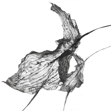 Tableau « Dudki » (2023) | Aneta & Filip Gębski – MIRAGES, photographie et dessin Tableau « Dudki » (2023) | Aneta & Filip Gębski – MIRAGES, photographie et dessin