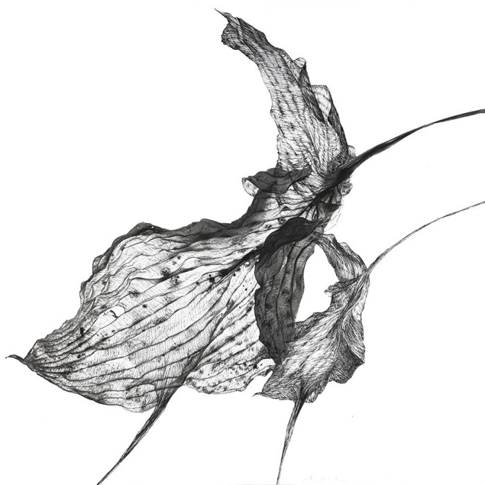 Tableau « Dudki » (2023) | Aneta & Filip Gębski – MIRAGES, photographie et dessin Tableau « Dudki » (2023) | Aneta & Filip Gębski – MIRAGES, photographie et dessin