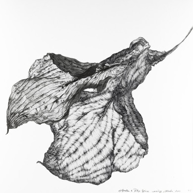 Tableau « Welonka » (2023) | Aneta & Filip Gębski – MIRAGES, photographie et dessin Tableau « Welonka » (2023) | Aneta & Filip Gębski – MIRAGES, photographie et dessin