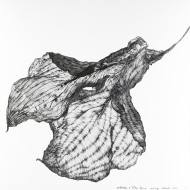 Painting “Welonka” (2023) | Aneta & Filip Gębski – MIRAGES, photography & drawing Painting “Welonka” (2023) | Aneta & Filip Gębski – MIRAGES, photography & drawing