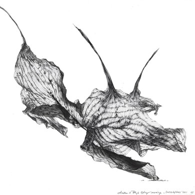 Tableau « Crocodylinac » (2023) | Aneta & Filip Gębski – MIRAGES, photographie et dessin Tableau « Crocodylinac » (2023) | Aneta & Filip Gębski – MIRAGES, photographie et dessin