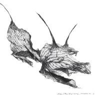 Tableau « Crocodylinac » (2023) | Aneta & Filip Gębski – MIRAGES, photographie et dessin Tableau « Crocodylinac » (2023) | Aneta & Filip Gębski – MIRAGES, photographie et dessin