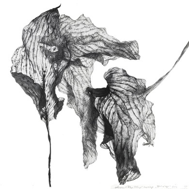 Tableau « Backdog » (2022) | Aneta & Filip Gębski – MIRAGES, photographie et dessin Tableau « Backdog » (2022) | Aneta & Filip Gębski – MIRAGES, photographie et dessin
