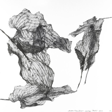 Tableau « Plotki » (2023) | Aneta & Filip Gębski – MIRAGES, photographie et dessin Tableau « Plotki » (2023) | Aneta & Filip Gębski – MIRAGES, photographie et dessin