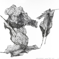 Tableau « Plotki » (2023) | Aneta & Filip Gębski – MIRAGES, photographie et dessin Tableau « Plotki » (2023) | Aneta & Filip Gębski – MIRAGES, photographie et dessin