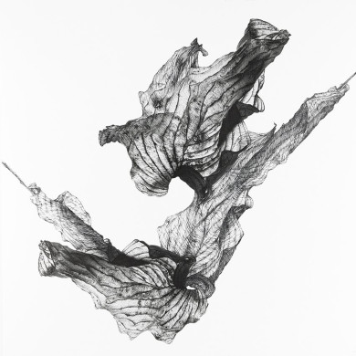Obraz „Arlequin” (2023) | Aneta & Filip Gębscy – MIRAGES, fotografia i rysunek Obraz „Arlequin” (2023) | Aneta & Filip Gębscy – MIRAGES, fotografia i rysunek