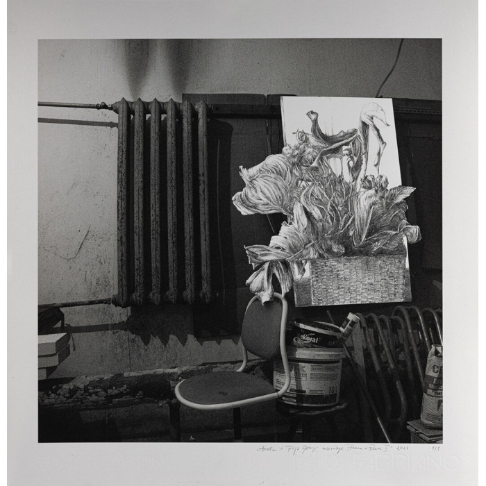 Obraz „Fauna i Flora .2” (2022) | Aneta & Filip Gębscy – MIRAGES, fotografia i rysunek Obraz „Fauna i Flora .2” (2022) | Aneta & Filip Gębscy – MIRAGES, fotografia i rysunek