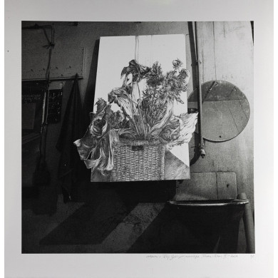 Obraz „Fauna i Flora .3” (2022) | Aneta & Filip Gębscy – MIRAGES, fotografia i rysunek Obraz „Fauna i Flora .3” (2022) | Aneta & Filip Gębscy – MIRAGES, fotografia i rysunek