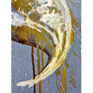 Gemälde „Adler I“, 2021 – Acryl, Reihe Dichotomie der Persönlichkeit Gemälde „Adler I“, 2021 – Acryl, Reihe Dichotomie der Persönlichkeit