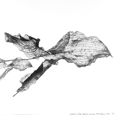Tableau « Lotonotosaures » (2023) | Aneta & Filip Gębski – MIRAGES, photographie et dessin Tableau « Lotonotosaures » (2023) | Aneta & Filip Gębski – MIRAGES, photographie et dessin