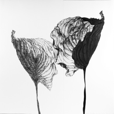Tableau « Le Baiser » (2023) | Aneta & Filip Gębski – MIRAGES, photographie et dessin Tableau « Le Baiser » (2023) | Aneta & Filip Gębski – MIRAGES, photographie et dessin