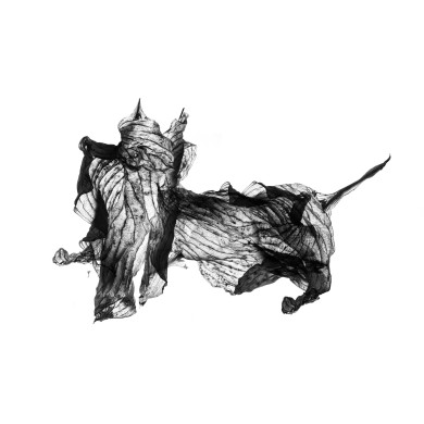 Obraz „Whituś” (2023) | Aneta & Filip Gębscy – MIRAGES, fotografia i rysunek Obraz „Whituś” (2023) | Aneta & Filip Gębscy – MIRAGES, fotografia i rysunek