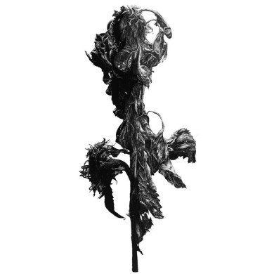 Tableau « Drugie życie I », 2021 – MIRAGES, photographie et dessin Tableau « Drugie życie I », 2021 – MIRAGES, photographie et dessin