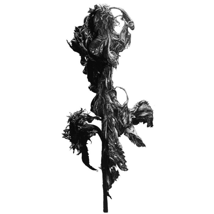 Tableau « Drugie życie I », 2021 – MIRAGES, photographie et dessin Tableau « Drugie życie I », 2021 – MIRAGES, photographie et dessin
