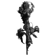 Tableau « Drugie życie I », 2021 – MIRAGES, photographie et dessin Tableau « Drugie życie I », 2021 – MIRAGES, photographie et dessin