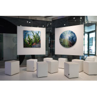 Peinture « Posidonia Plant » (2024) | Emilia Maryniak – art, nature et équilibre écologique Peinture « Posidonia Plant » (2024) | Emilia Maryniak – art, nature et équilibre écologique