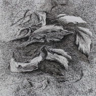 Rysunek „Praca na papierze” (2018) | Emilia Maryniak – tusz, proces i refleksja ekologiczna Rysunek „Praca na papierze” (2018) | Emilia Maryniak – tusz, proces i refleksja ekologiczna
