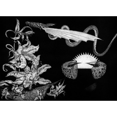 « À l’aube a fleuri l’océan noir » (2002) | Przemysław Tyszkiewicz – eau-forte & aquatinte, 94×67 cm