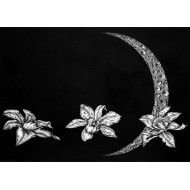 “Flowers of the Night” (2002) | Przemysław Tyszkiewicz – etching & aquatint, 94×67 cm