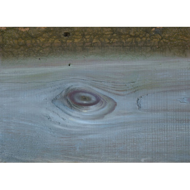 „Andenken“ (2024) | Piotr Trusik – Öl auf Holztafel, 30,5×21 cm | Pleinair Jerzwałd