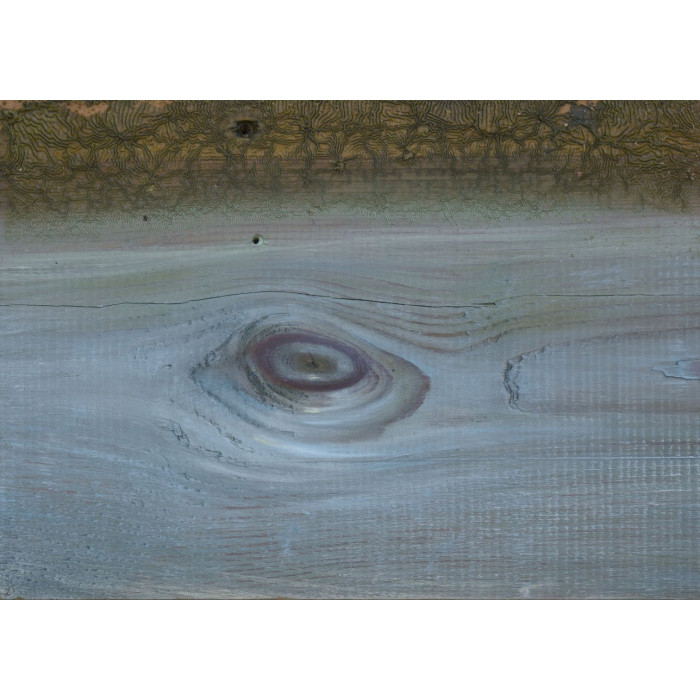 „Andenken“ (2024) | Piotr Trusik – Öl auf Holztafel, 30,5×21 cm | Pleinair Jerzwałd