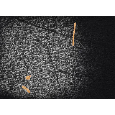 Estampe artistique « Okruchy_40 » – Linogravure sur toile avec dorures et spray Estampe artistique « Okruchy_40 » – Linogravure sur toile avec dorures et spray