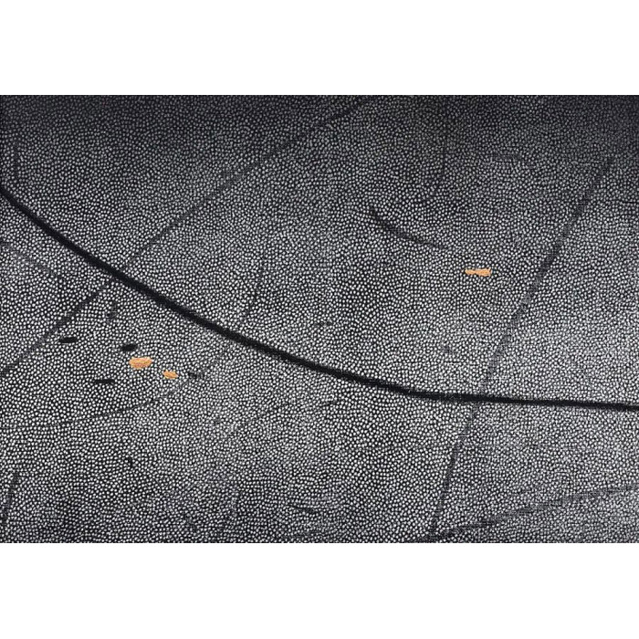 Kunstgrafik „Okruchy_37” – Linolschnitt auf Leinwand mit Vergoldung und Bleistift Kunstgrafik „Okruchy_37” – Linolschnitt auf Leinwand mit Vergoldung und Bleistift