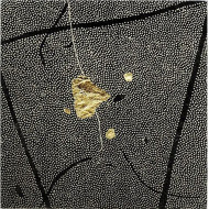 Estampe artistique « Okruchy_49 » – Linogravure sur papier Zerkall avec dorures Estampe artistique « Okruchy_49 » – Linogravure sur papier Zerkall avec dorures