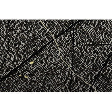 Estampe artistique « Okruchy_46 » – Linogravure sur papier Zerkall avec crayon et dorures Estampe artistique « Okruchy_46 » – Linogravure sur papier Zerkall avec crayon et dorures