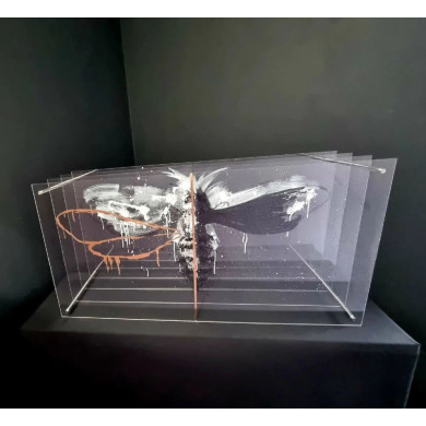 Installation « Insecte », 2023 – Plexiglas, série Dichotomie de la personnalité Installation « Insecte », 2023 – Plexiglas, série Dichotomie de la personnalité